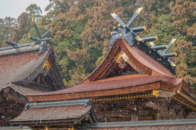 kumano kodo wakayama