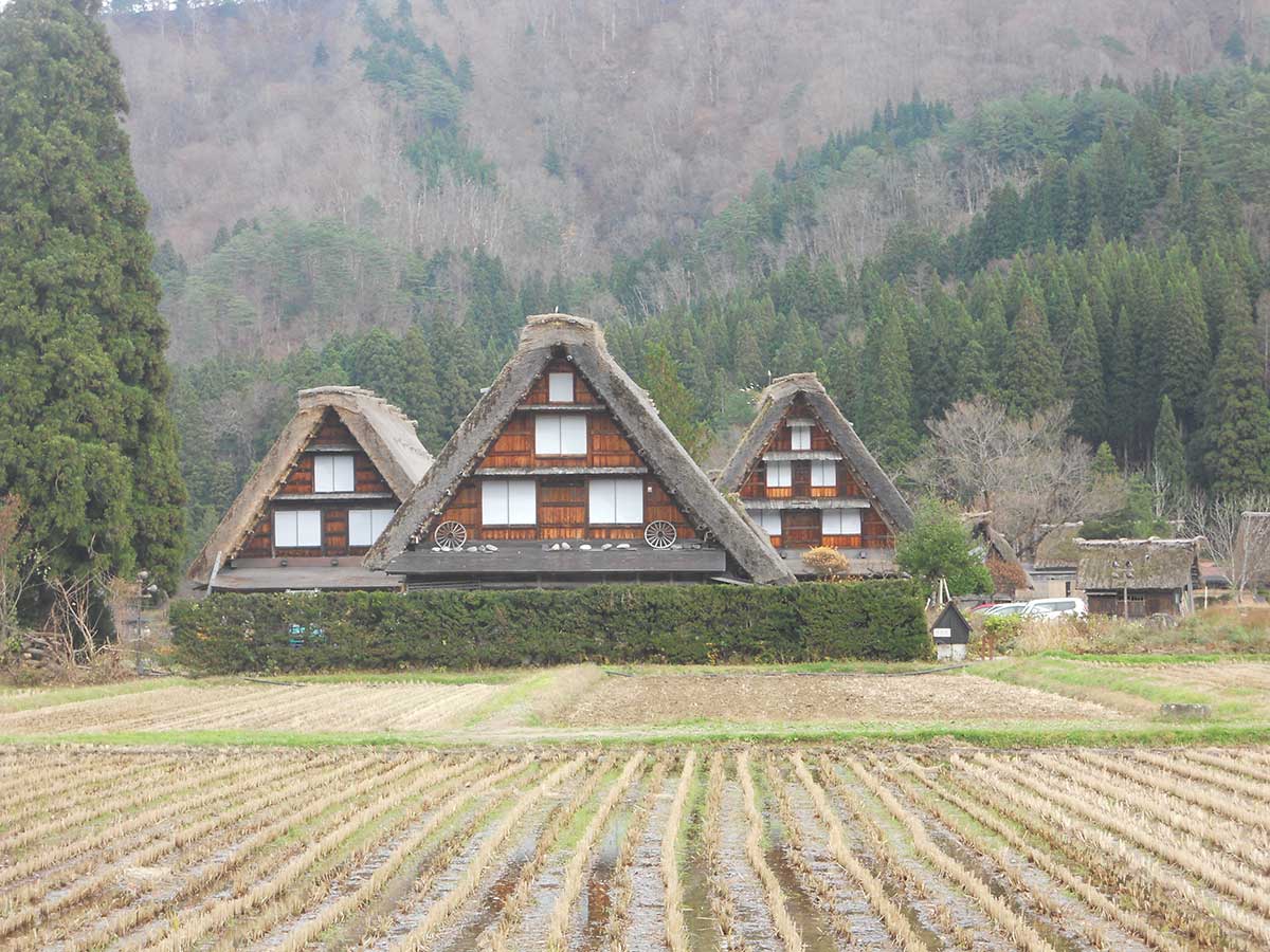 Shirakawago Village