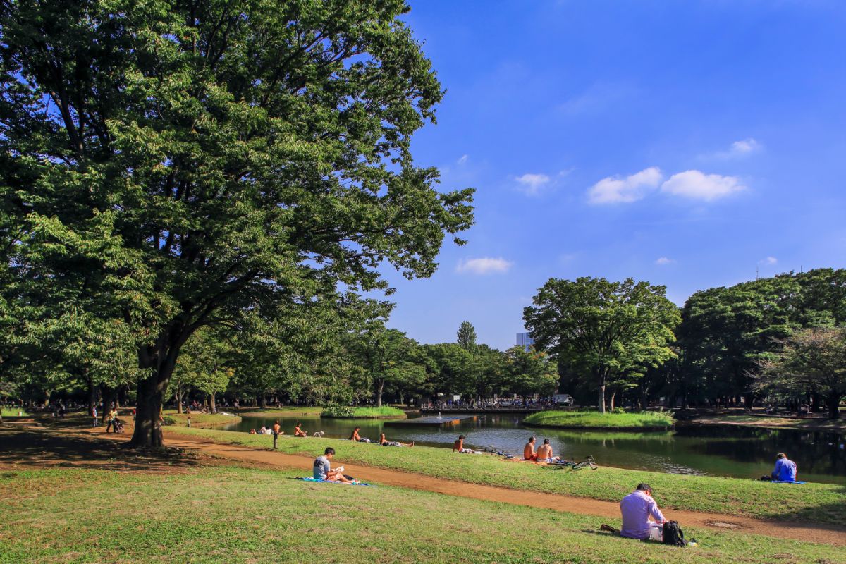 Yoyogi Koen Park-2