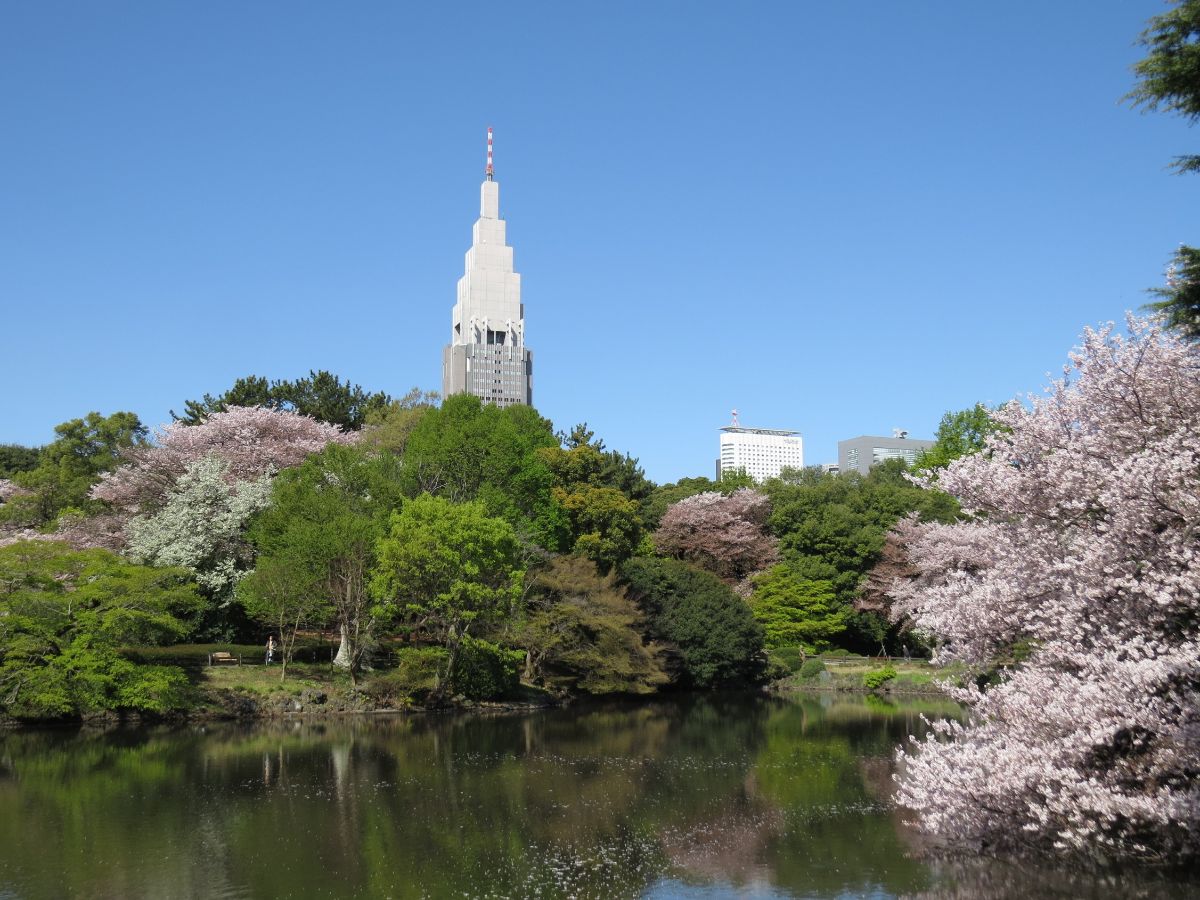 Shinjuku Gyoen National Garden-1