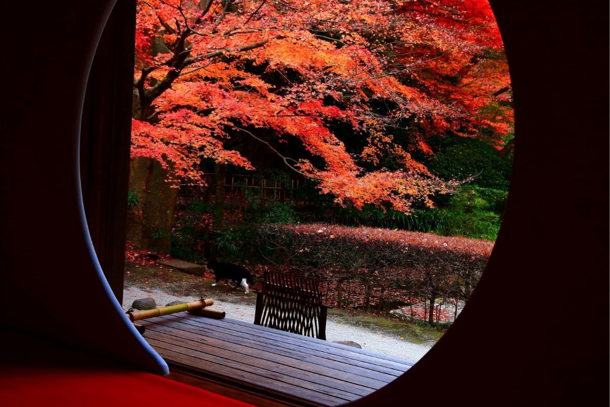 Meigetsuin Temple