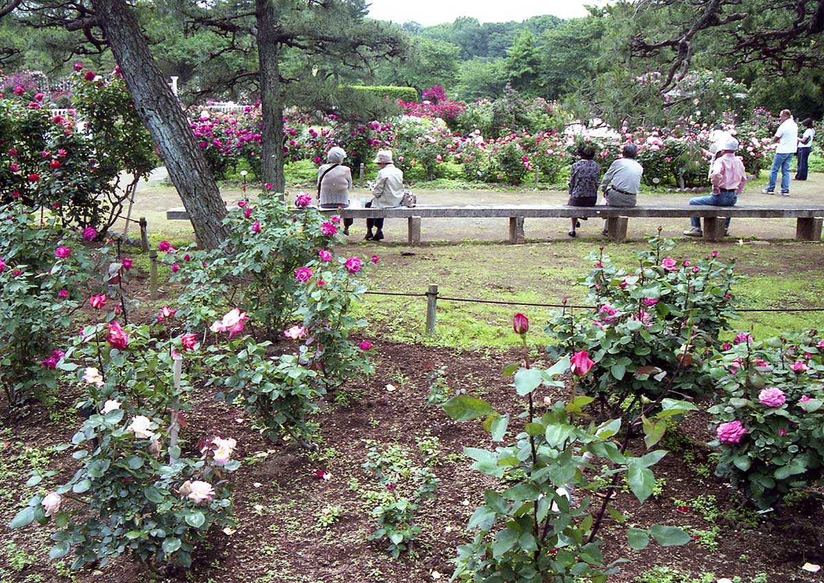 Ikuta Ryokuchi Park