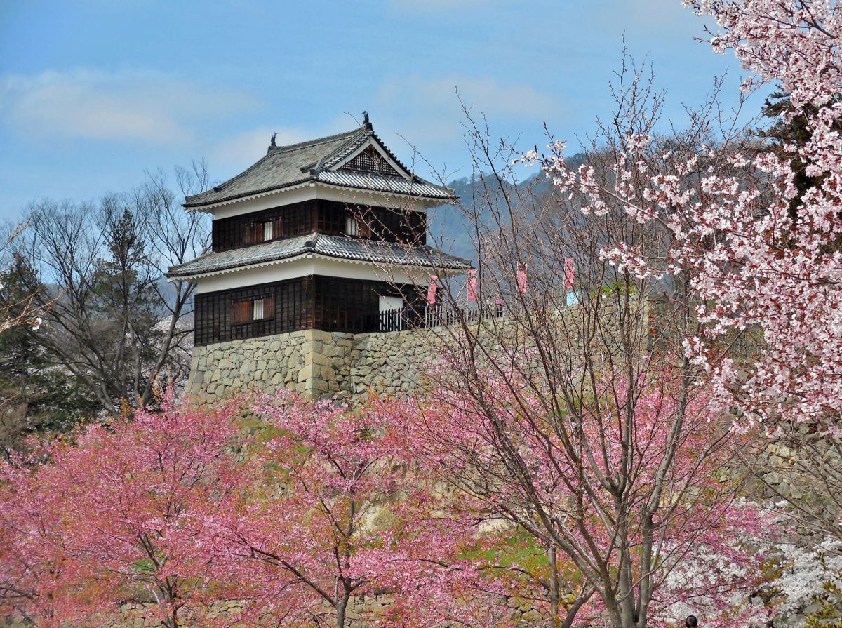 Ueda Castle Koen Park-9