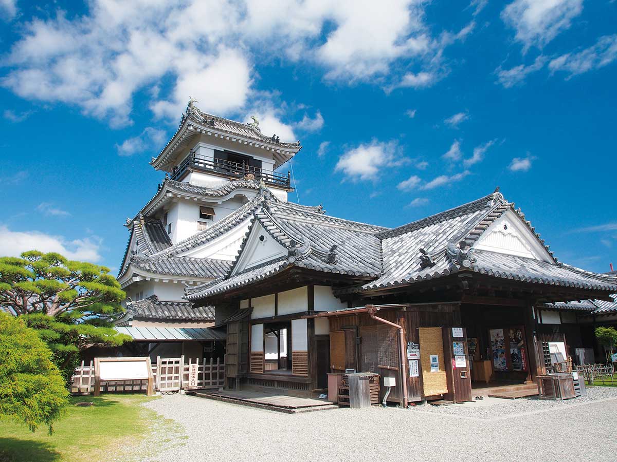 Kochijo Castle