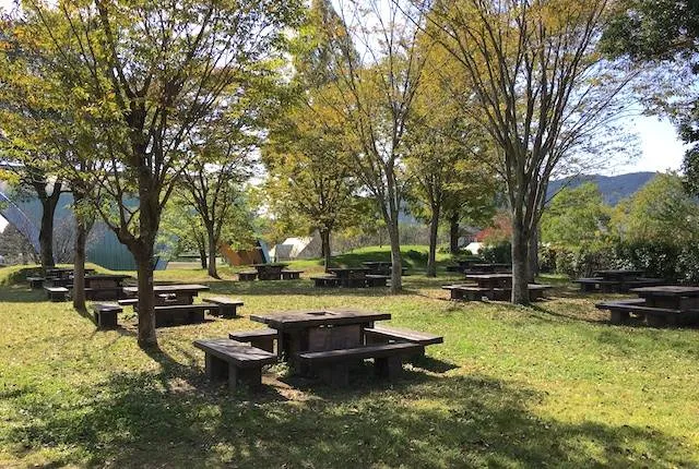 park2