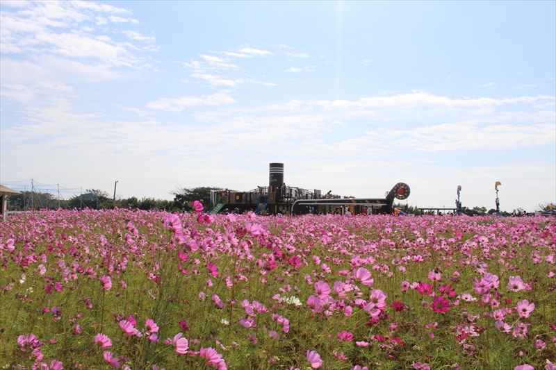 Nagai Uminote Koen Park Soleil Hill