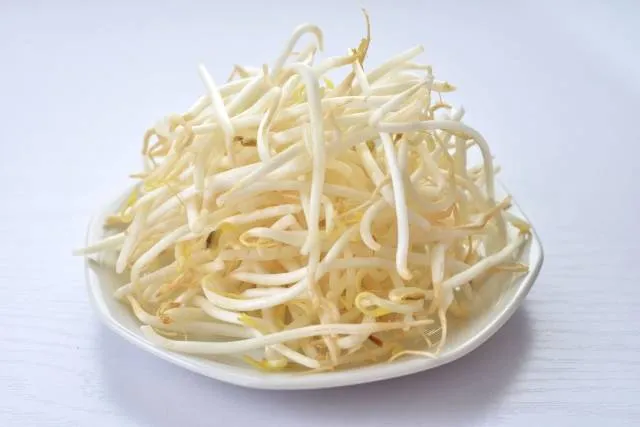 bean_sprouts_aomori