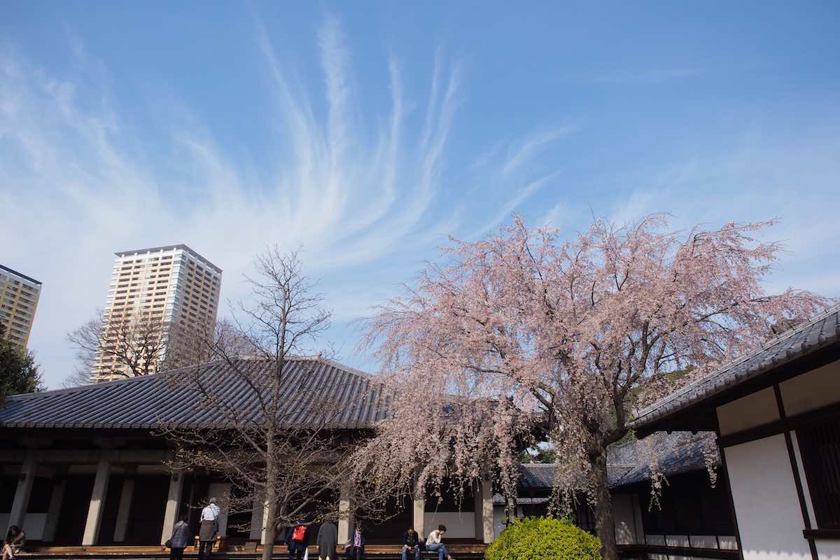 Tennoji Temple (Tokyo)-1