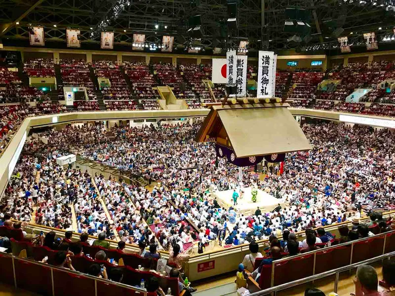 sumo