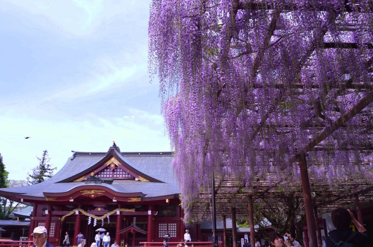 Kasama Inari Jinja Shrine