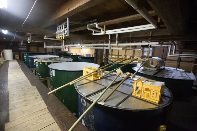 sake_brewery_tokyo