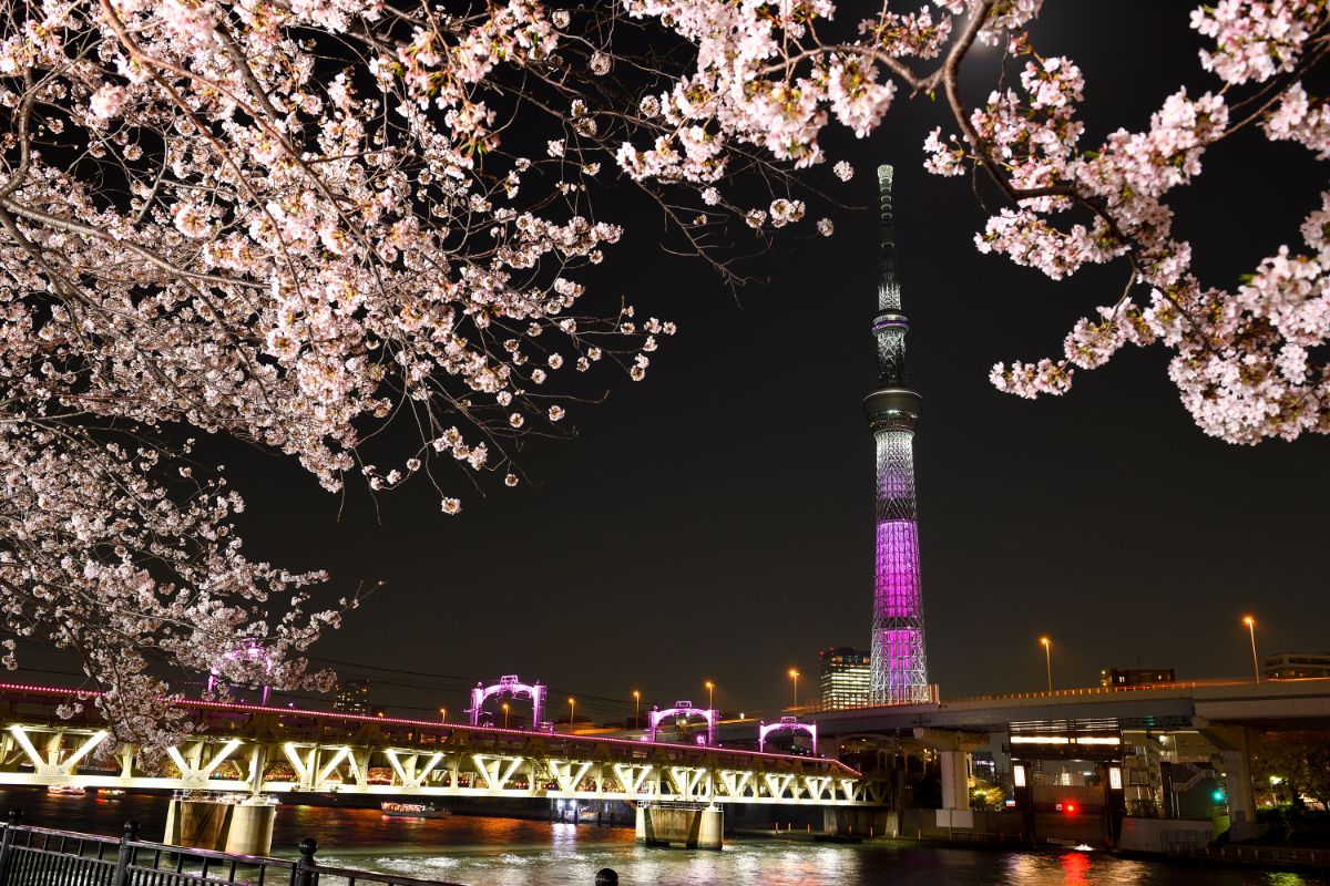 Tokyo Skytree-9