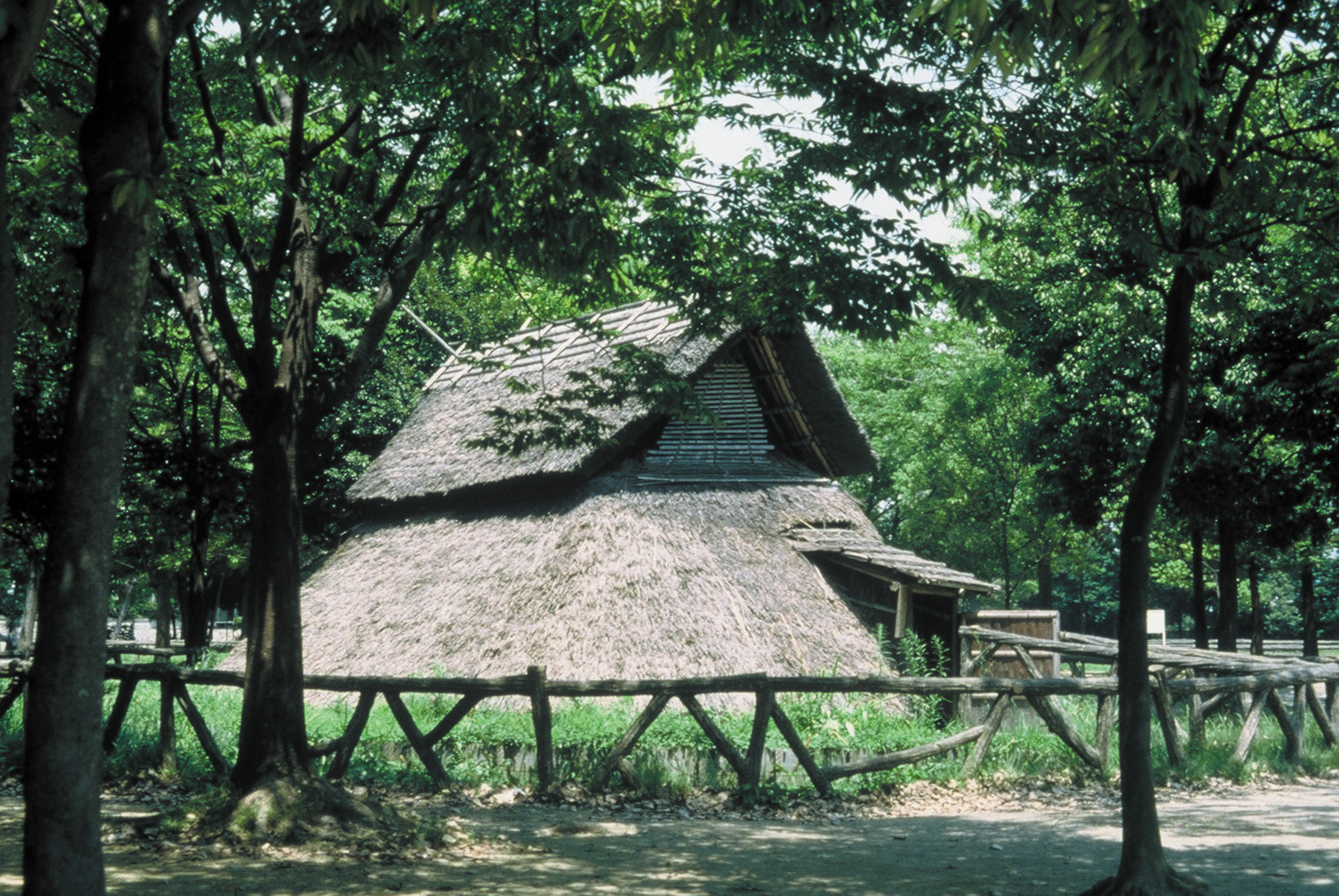 Toro Ruins