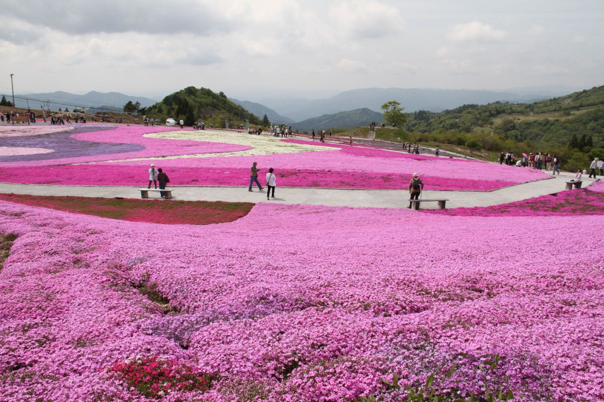 Mt. Chausuyama