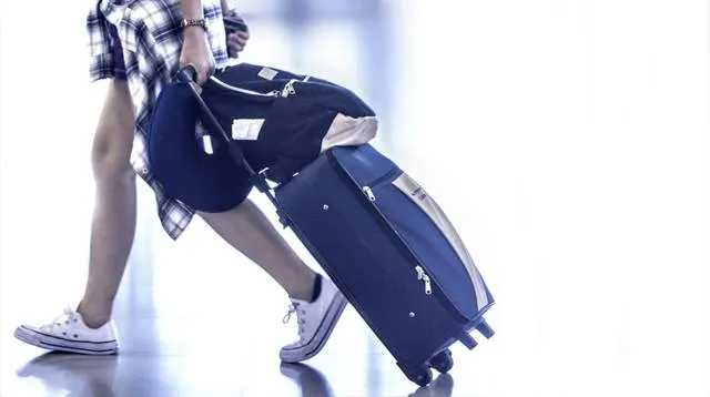 traveller