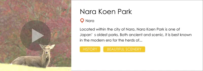 nara_koen_park