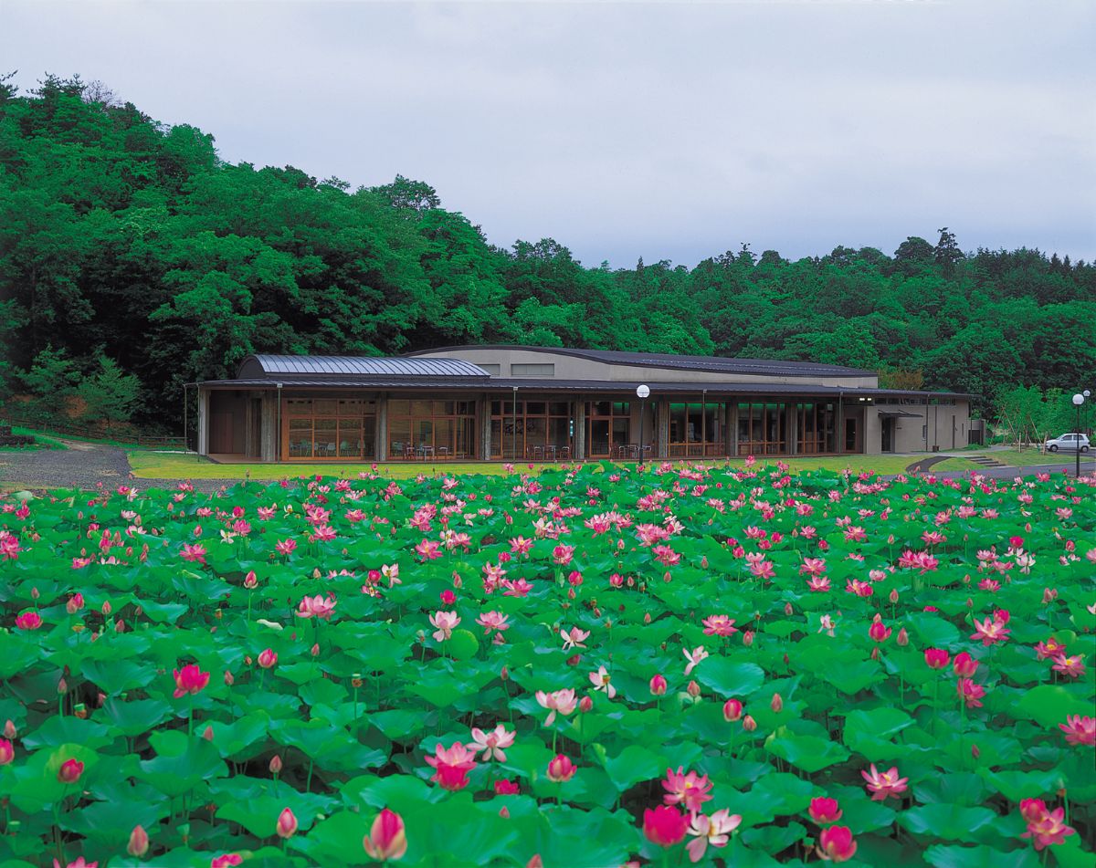 Archaeological Museum Kojindani