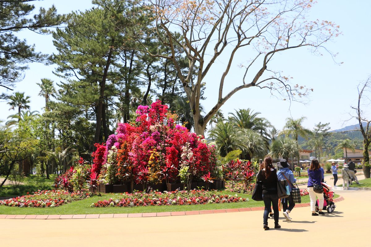 Miyako Botanic Garden Aoshima-1