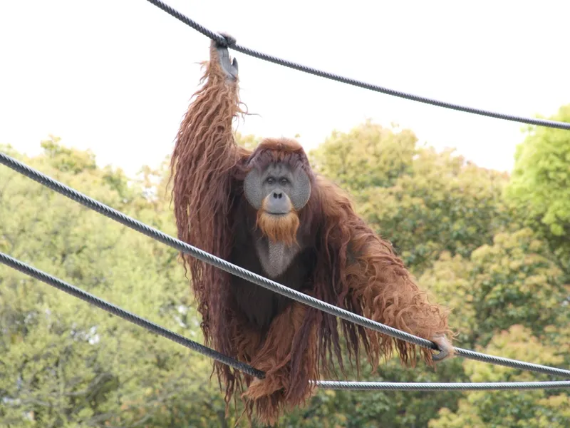 Tobe Zoological Park