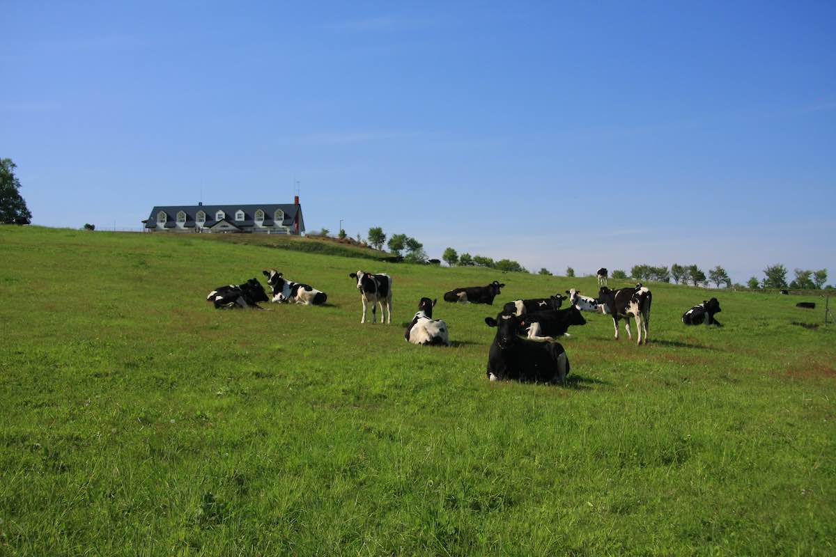 Obihiro City Yachiyo Farm