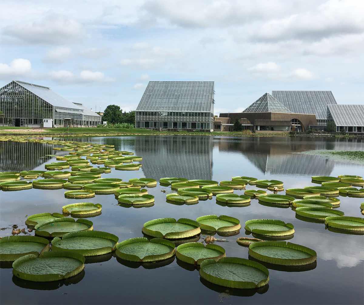 Botanic Gardens of Toyama