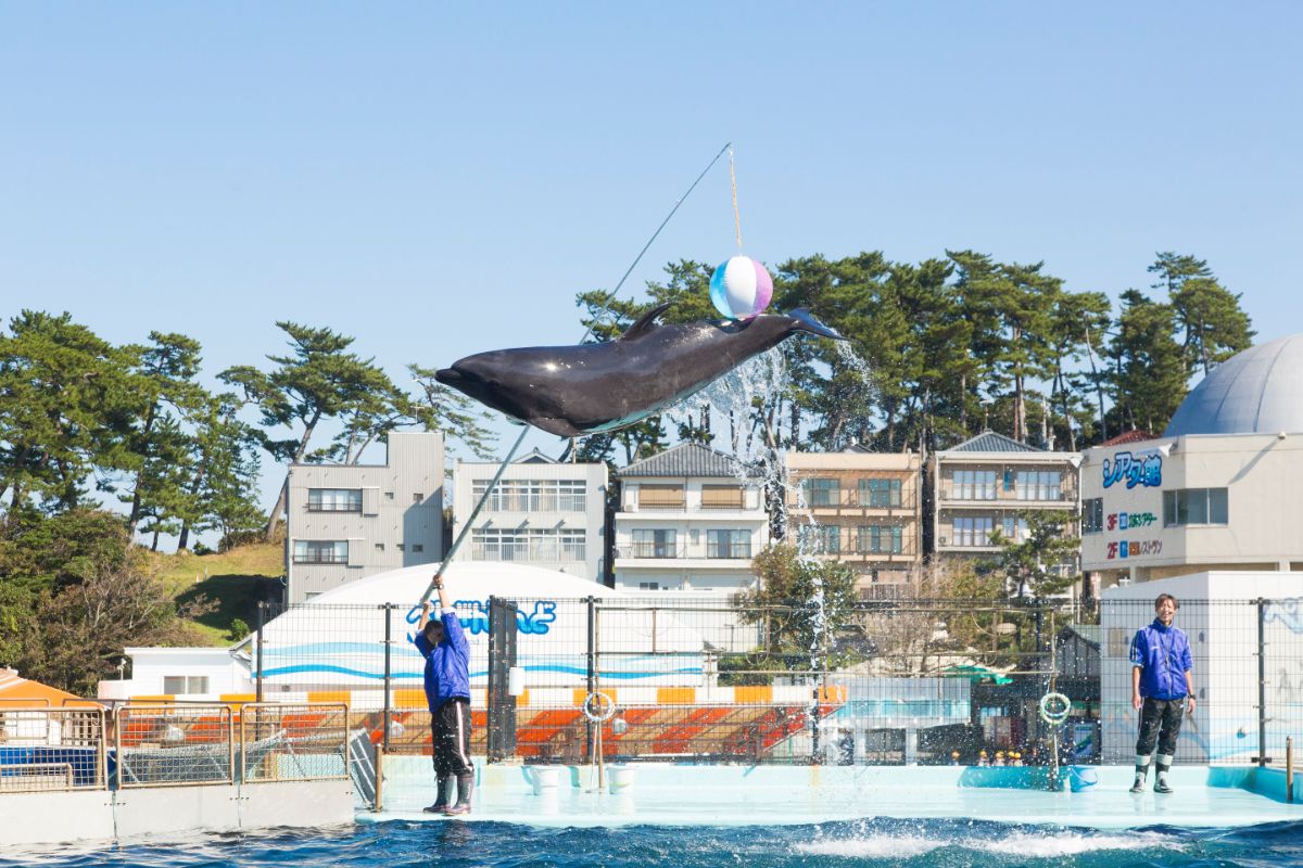 Echizen Matsushima Aquarium