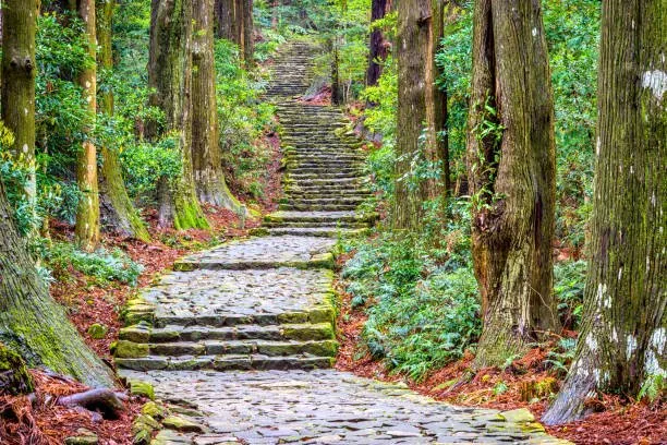 kumanokodo