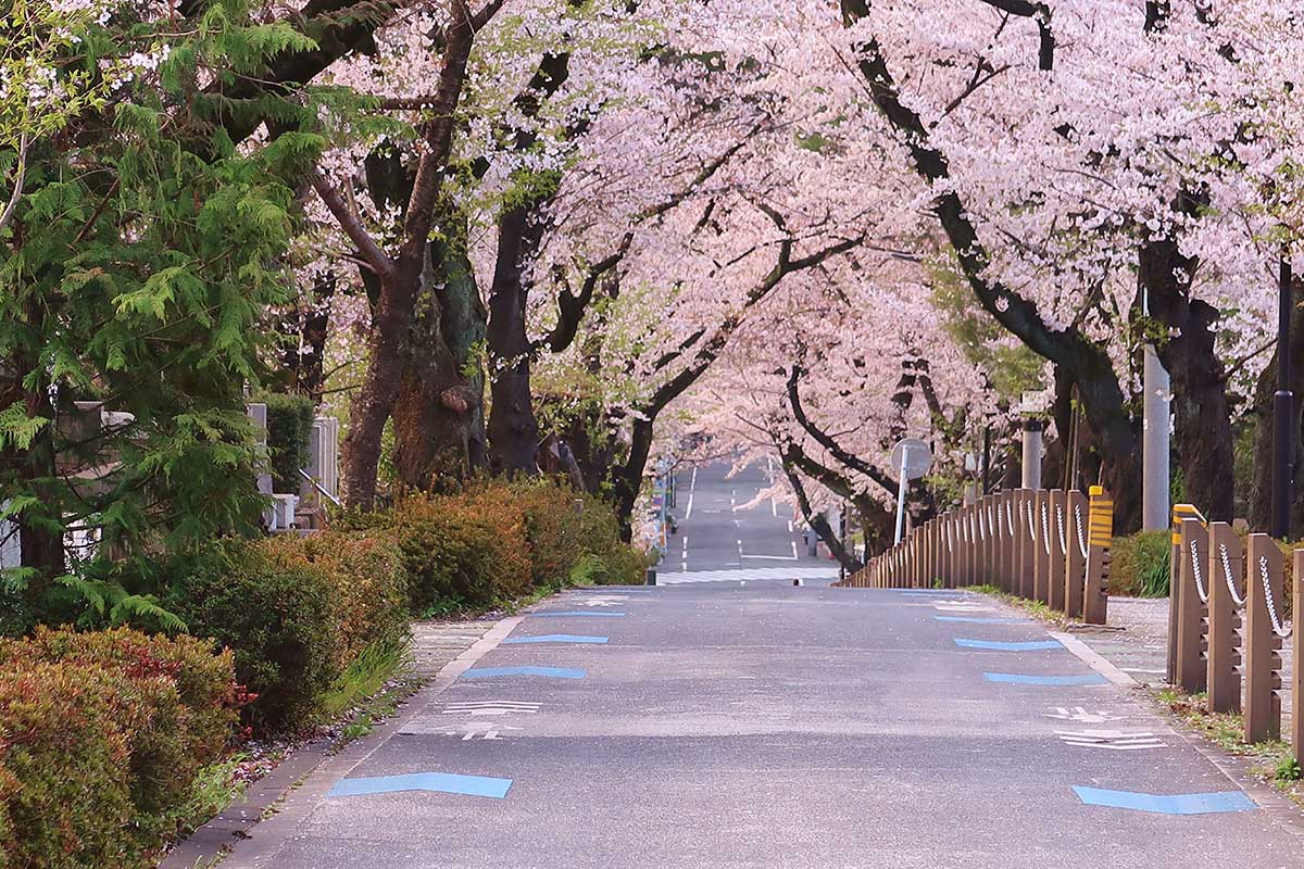 Aoyama Cemetery