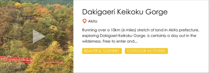 dakigaerikeikoku_gorge