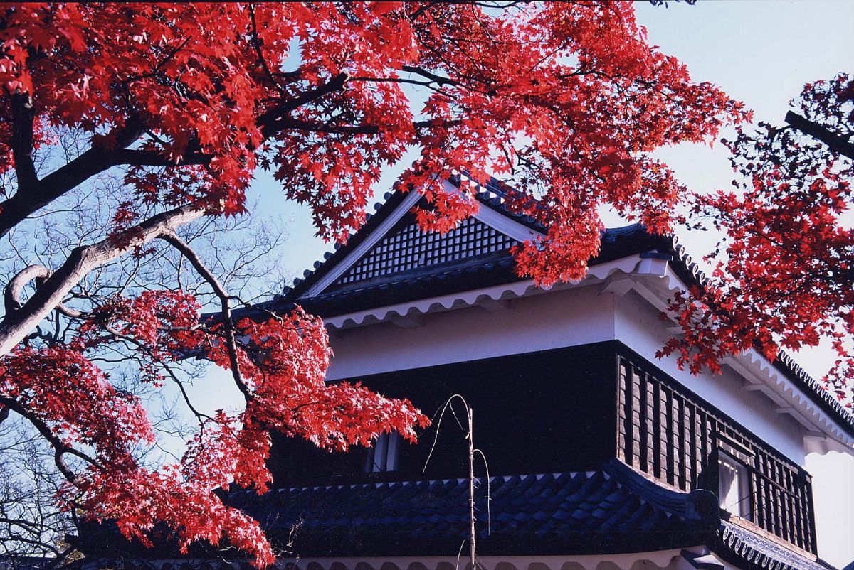 Ueda Castle Koen Park-8