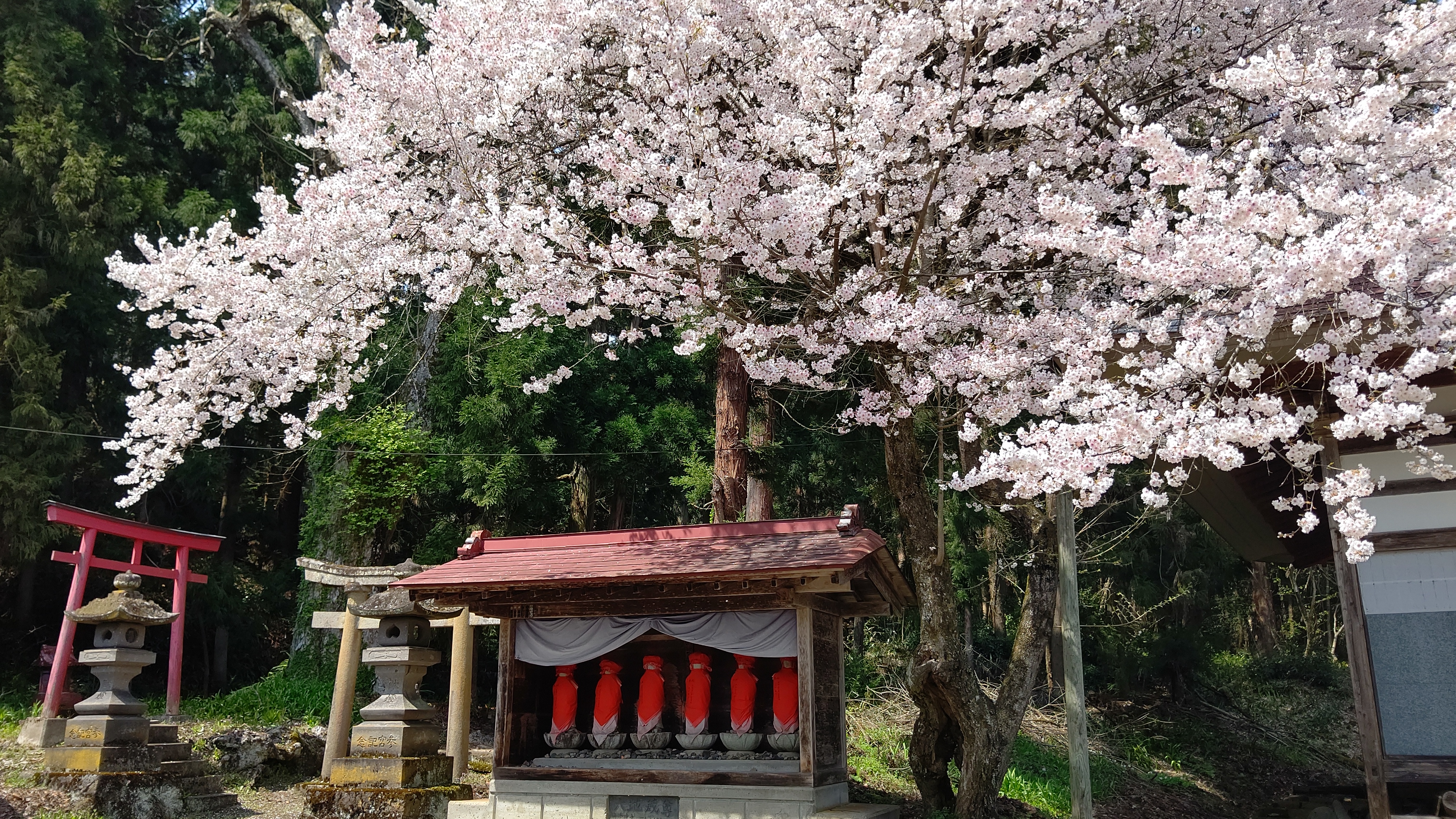 Yakuoji Temple