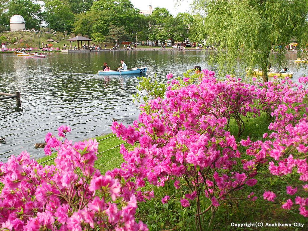 Tokiwa Koen Park (Hokkaido)