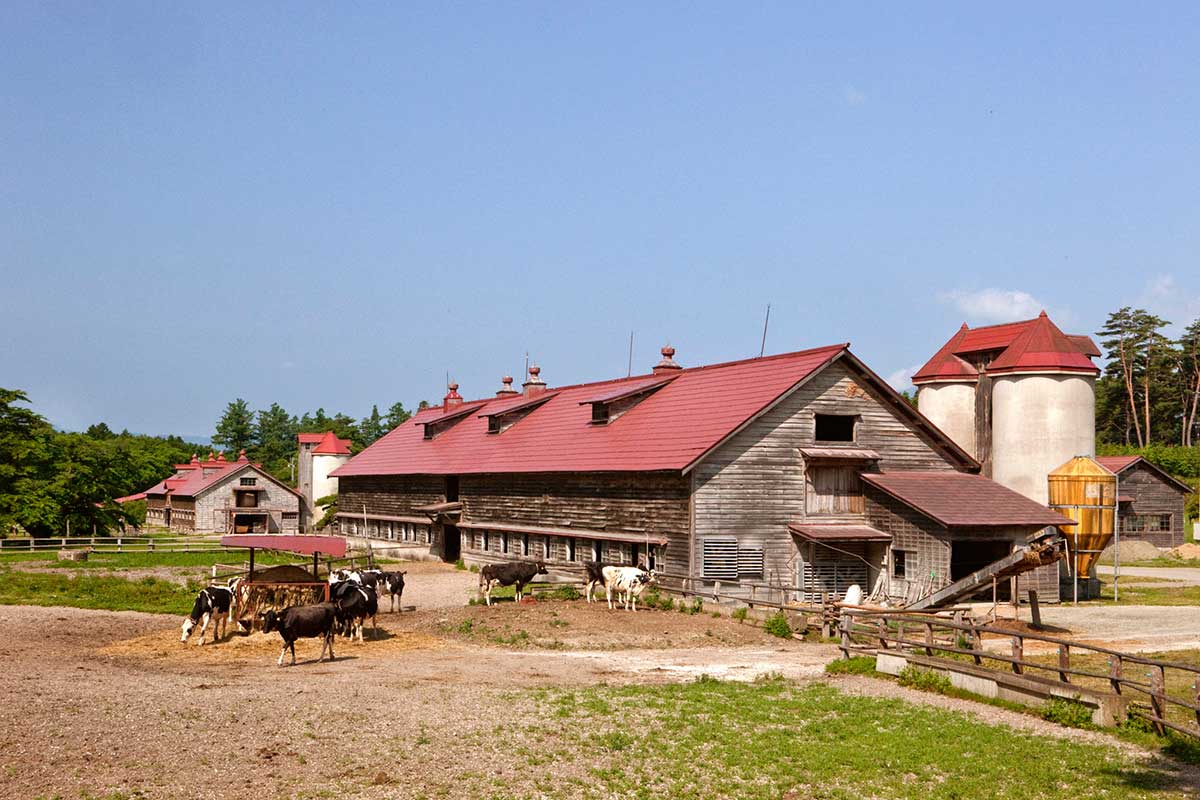 Koiwai Farm