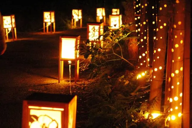 illumination_niigata