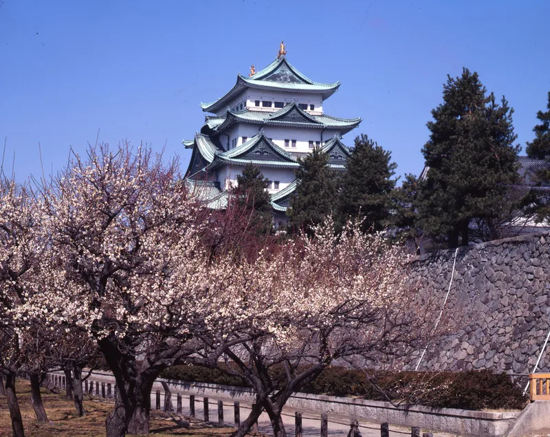 nagoyajo_castle