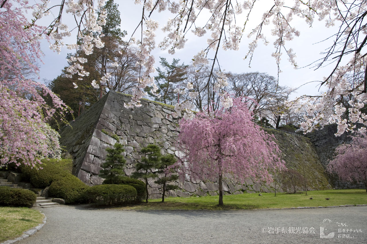 Morioka Castle Ruins Park (Iwate Koen Park)