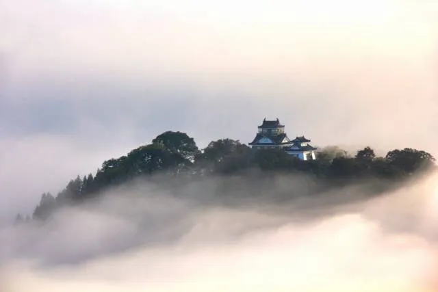 castle_fukui
