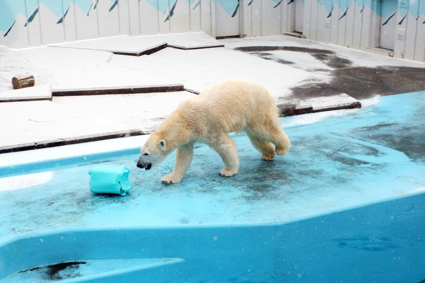 Kushiro City Zoo