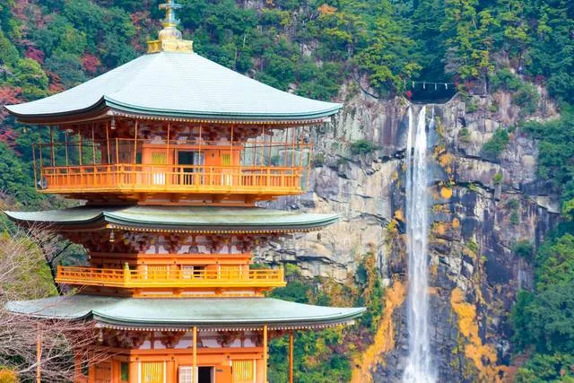 kumanokodo