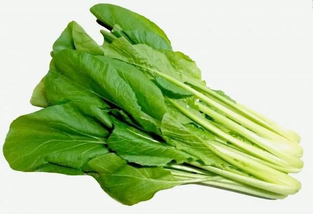 japanese vegetables