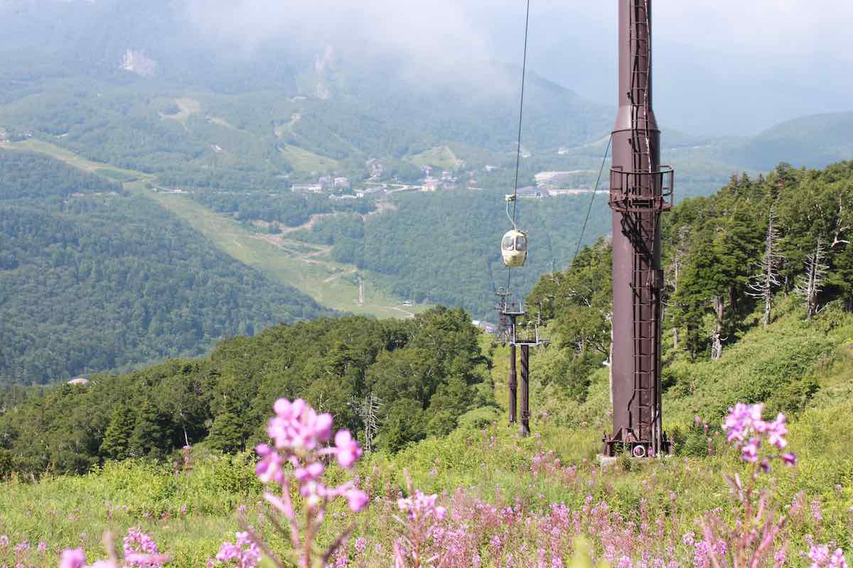 Shiga Kogen Highland