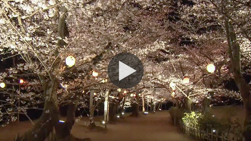 ritsurin_koen_garden