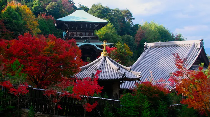 daishoin_temple