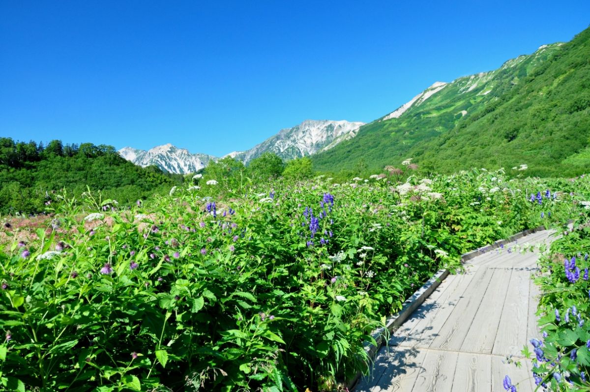 Tsugaike Shizenen Natural Park