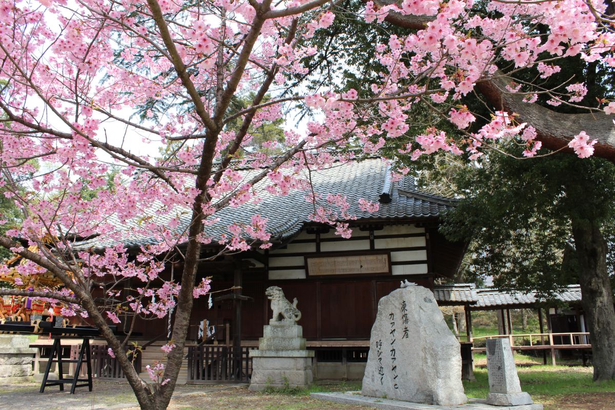 Ueda Castle Koen Park-6