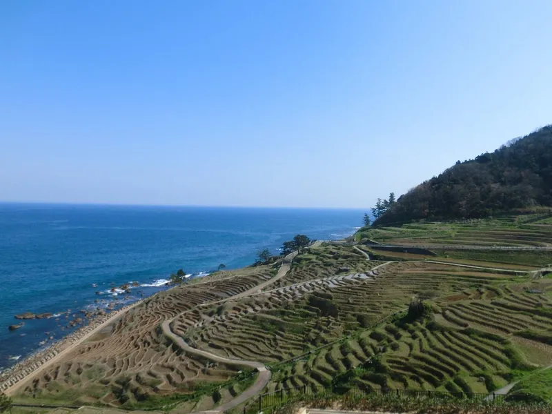 Shiroyone Senmaida terraced rice field